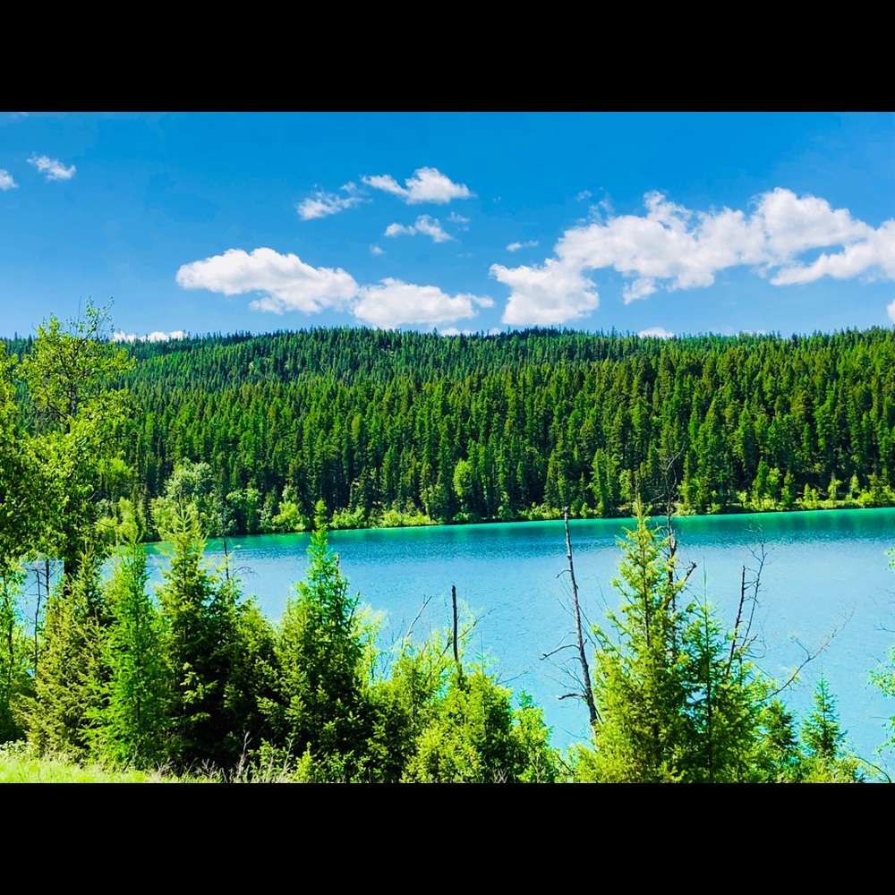 Meet your Posher, Emmy